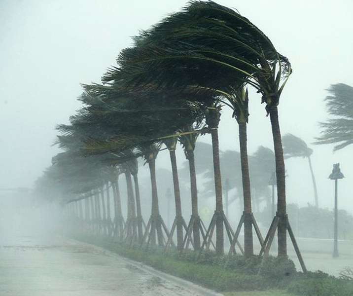 Wind Storm