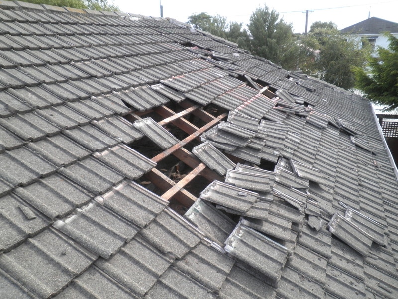 Roof Damage Shingles